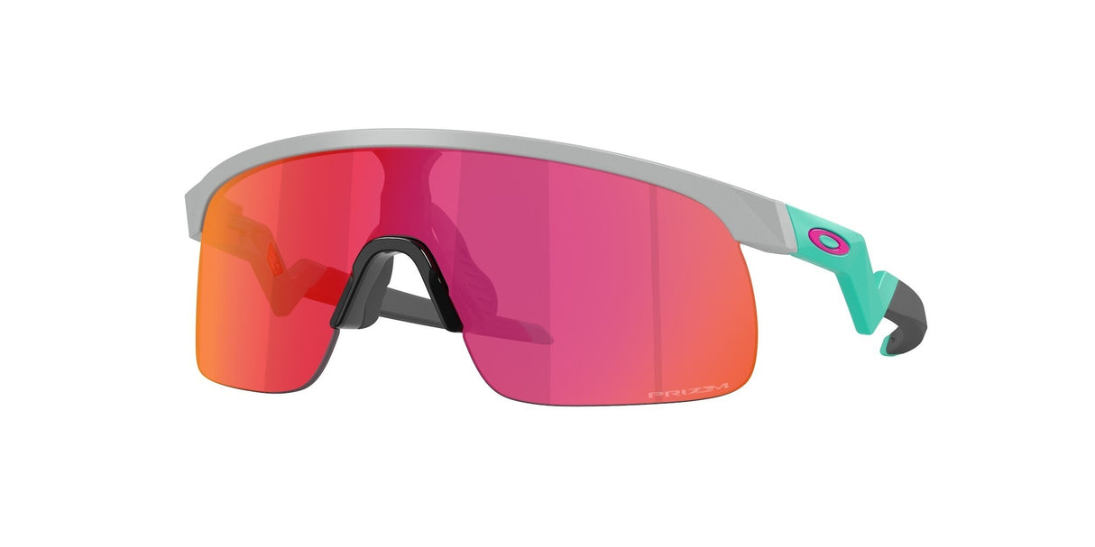 Oakley Resistor Sunglasses-1