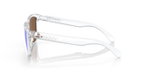 Oakley Frogskins Glasses-5