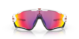 Oakley Jawbreaker Sunglasses-12