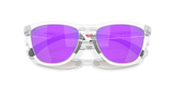 Oakley Frogskins Range Glasses-9