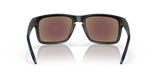 Oakley Holbrook NFL Glasses-6