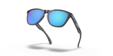 Oakley Frogskins A Glasses-9