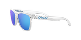 Oakley Frogskins Glasses-6