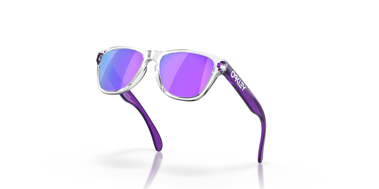 Oakley Frogskins XXS Glasses-8