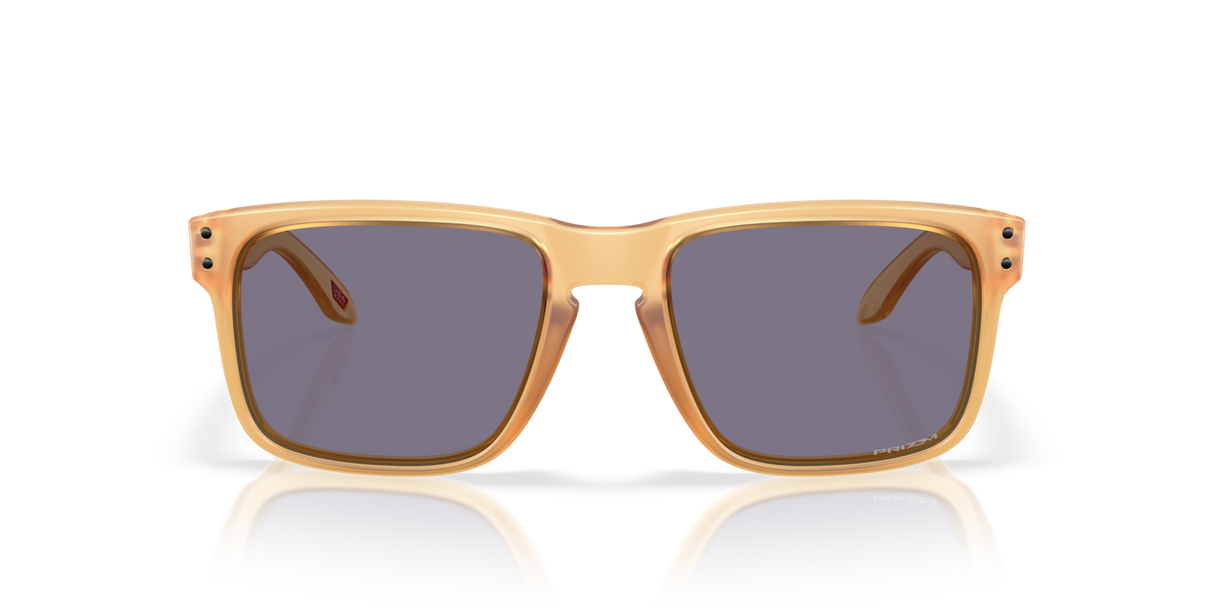 Oakley Holbrook Glasses-8