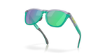 Oakley Frogskins Range Glasses-5