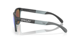 Oakley Frogskins Range Glasses-3