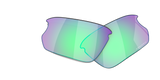 Oakley Bisphaera Replacement Lenses