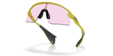 Oakley Stunt Devil Sunglasses-5