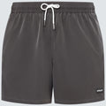 Oakley Men's Robinson RC 16" Beach Shorts-1