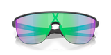 Oakley Corridor Sunglasses-9