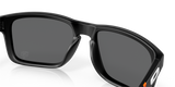 Oakley Holbrook NFL Glasses-10