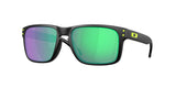 Oakley Holbrook Glasses-1