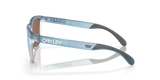 Oakley Frogskins Range Glasses-3