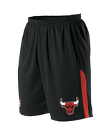 Alleson Youth NBA Logo'd Basketball Shorts - Eastern Conference