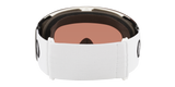 Oakley Flight Deck L Snow Goggles-8