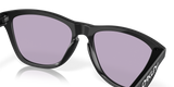 Oakley Frogskins A Glasses-7
