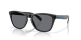 Oakley Frogskins Glasses-2