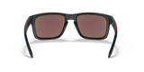 Oakley Holbrook NFL Glasses-6