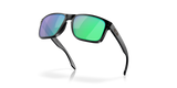 Oakley Holbrook A Glasses-9