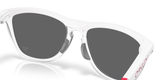 Oakley Frogskins Hybrid Glasses-7