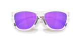 Oakley Frogskins Range XL A Glasses-9