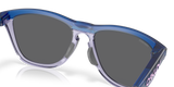 Oakley Frogskins Range Glasses-7