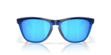 Oakley Frogskins Range Glasses-8