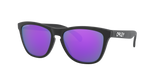 Oakley Frogskins Glasses-4