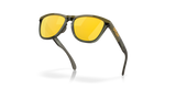 Oakley Frogskins Range Glasses-5