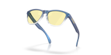 Oakley Frogskins S Glasses-5