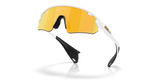 Oakley Stunt Devil A Sunglasses-5