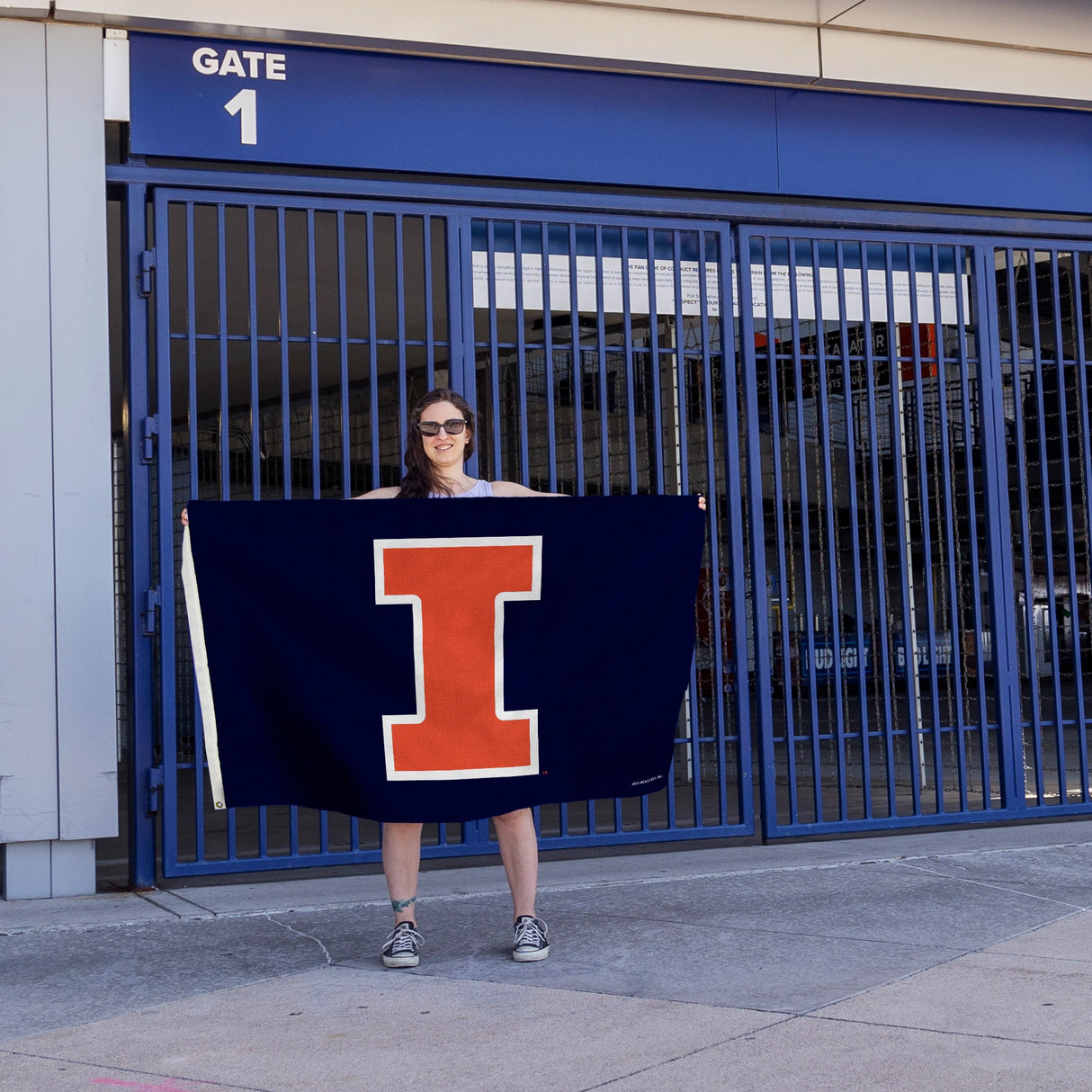 Rico Industries NCAA Illinois Fighting Illini Standard 3' x 5' Banner Flag-4