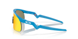 Oakley Resistor Sunglasses-4