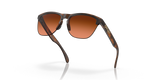 Oakley Frogskins Lite Glasses-9