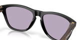 Oakley Frogskins A Glasses-7