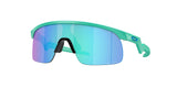 Oakley Resistor Sunglasses-1