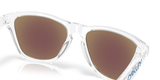 Oakley Frogskins S Glasses-7