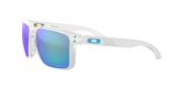 Oakley Holbrook XL Glasses-6