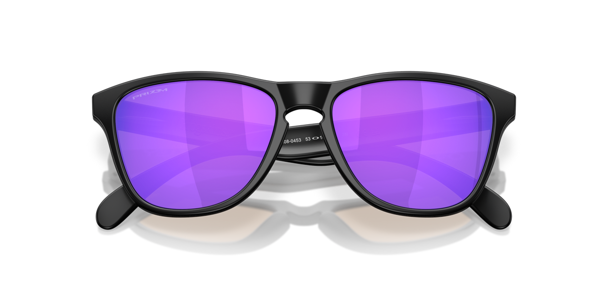 Oakley Frogskins S Glasses-9