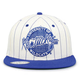 The Game Headwear Kentucky 90 Pin Snapback Hat