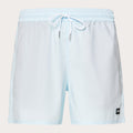 Oakley Men's Robinson RC 16" Beach Shorts-1