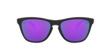 Oakley Frogskins Glasses-2