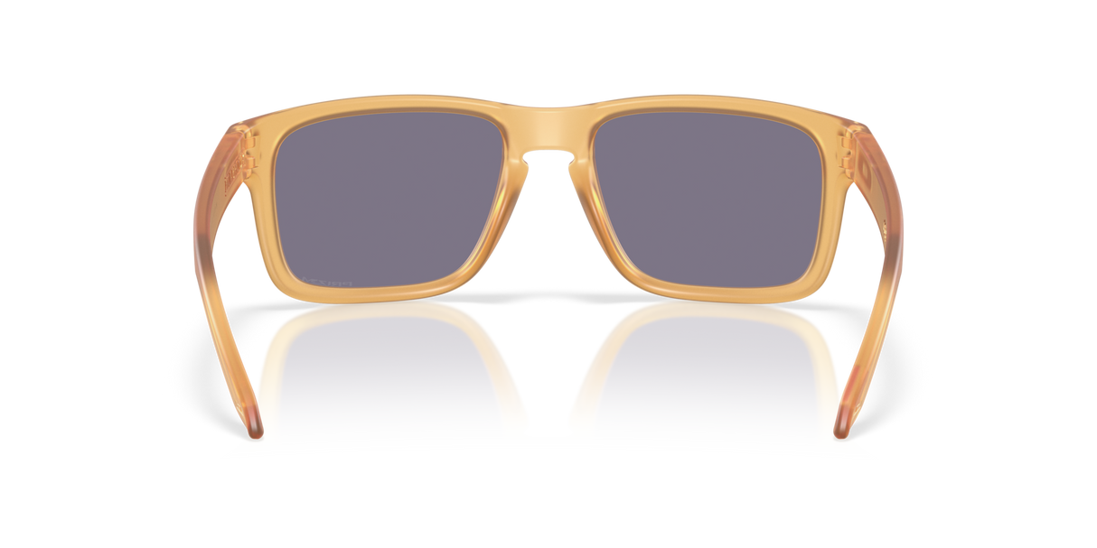 Oakley Holbrook Glasses-4