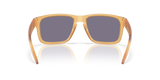 Oakley Holbrook Glasses-4