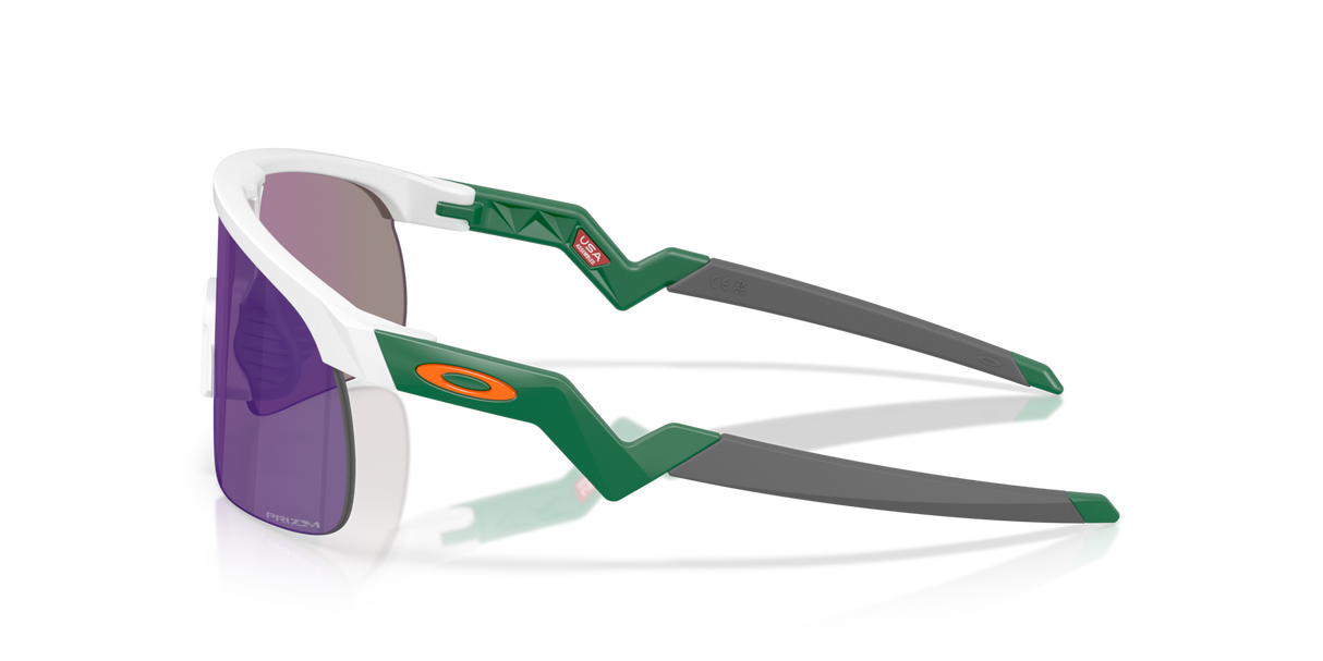 Oakley Resistor Sunglasses-3