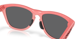Oakley Frogskins Range Glasses-7