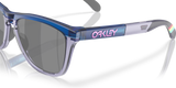 Oakley Frogskins Range Glasses-6
