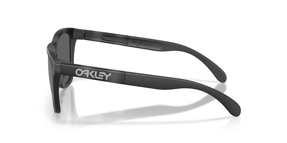 Oakley Frogskins Range XL Glasses-3