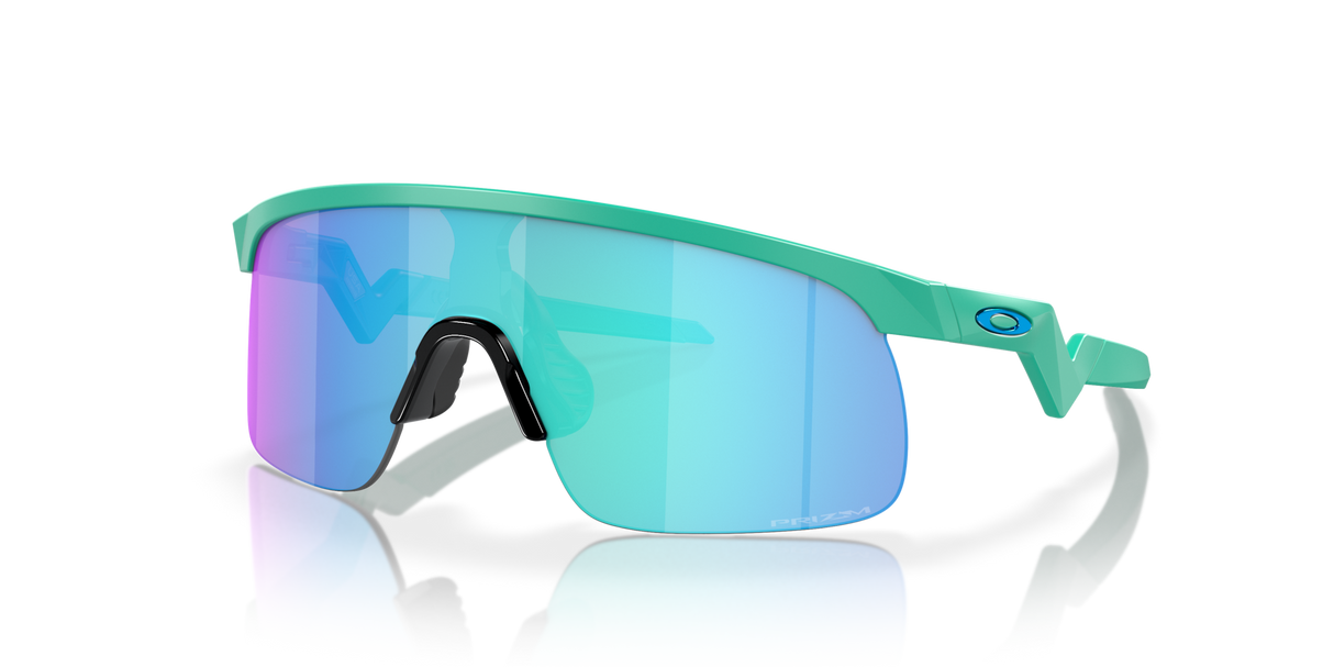 Oakley Resistor Sunglasses-2